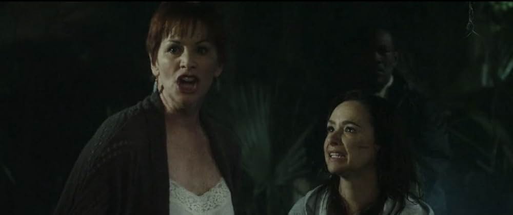 ハチェット レジェンド・ネバー・ダイの画像