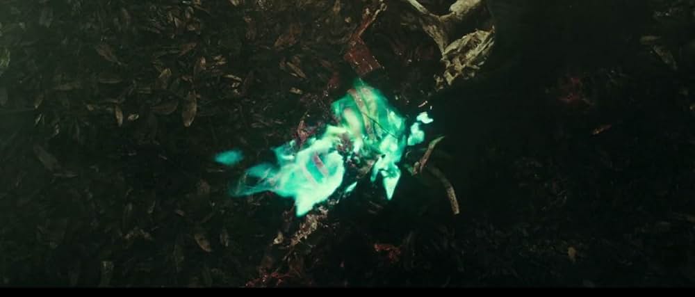 ハチェット レジェンド・ネバー・ダイの画像