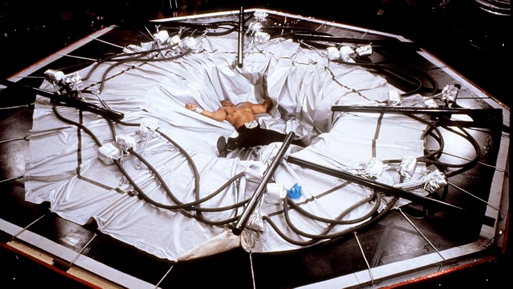 ゴールデンボンバーの画像