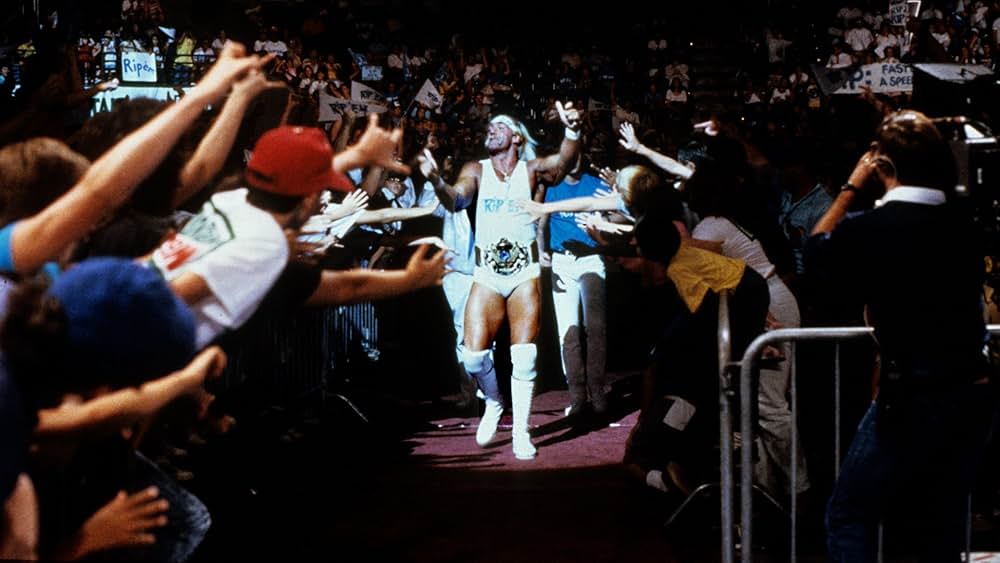 ゴールデンボンバーの画像