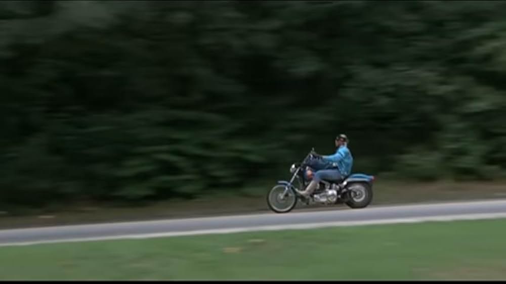 ゴールデンボンバーの画像