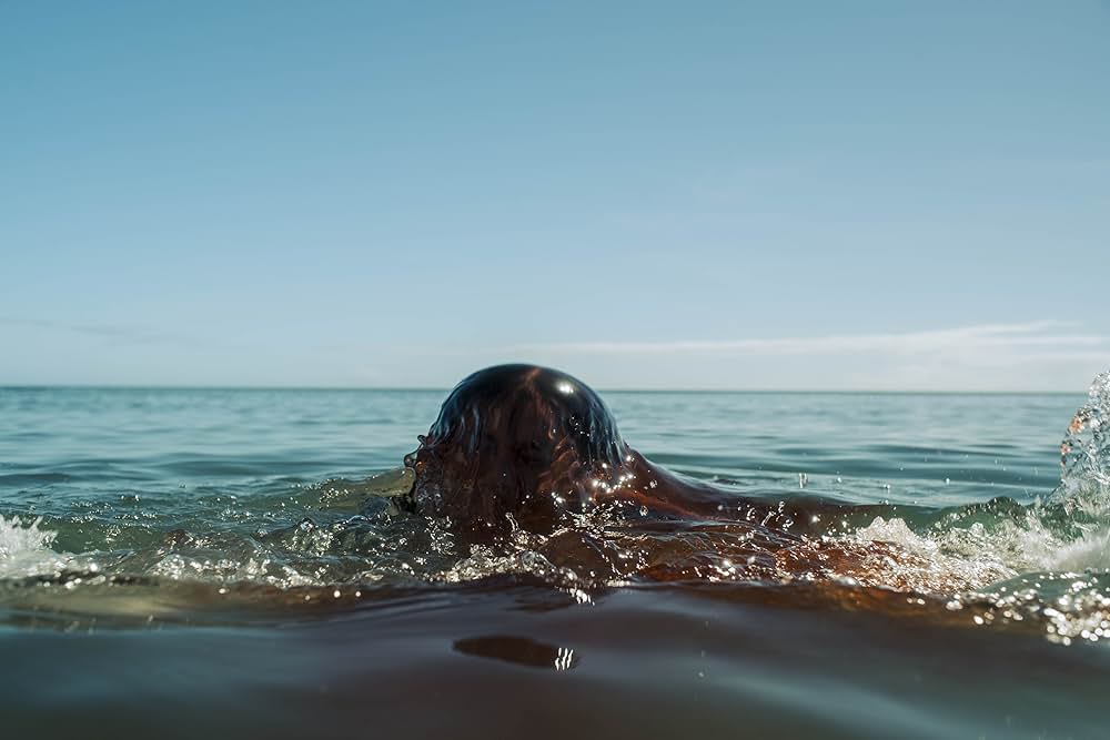 ジョーズ ザ・ファイナルの画像