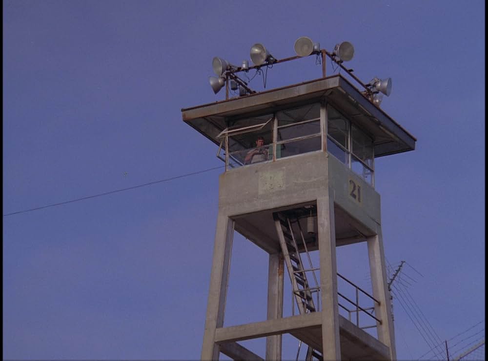 ジェリコ・マイル／獄中のランナーの画像