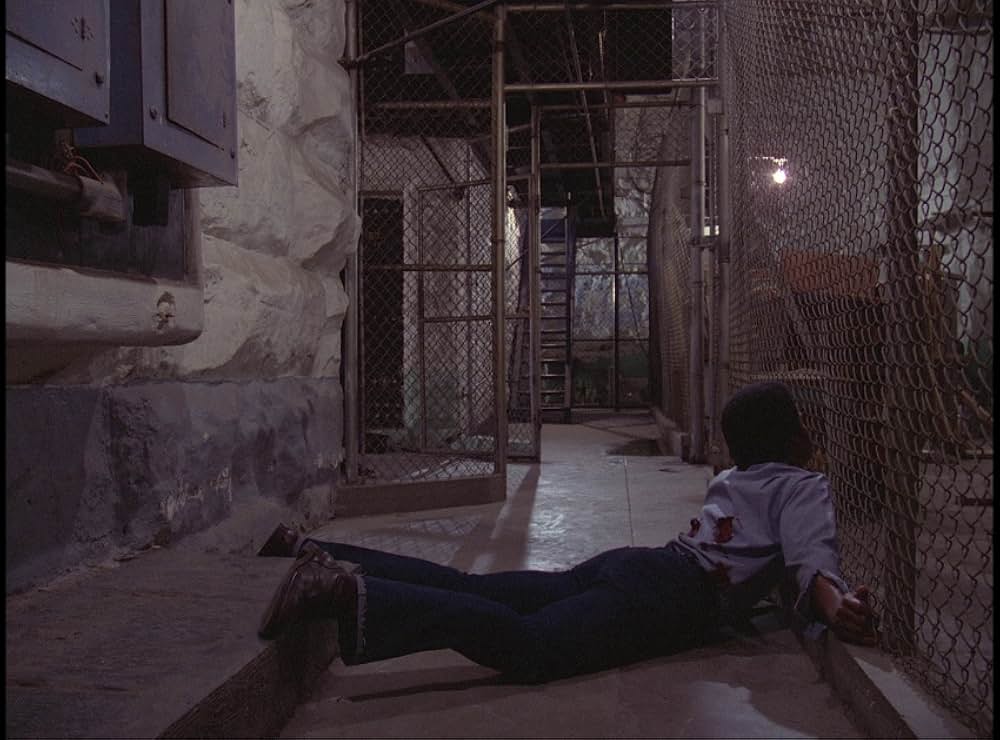 ジェリコ・マイル／獄中のランナーの画像