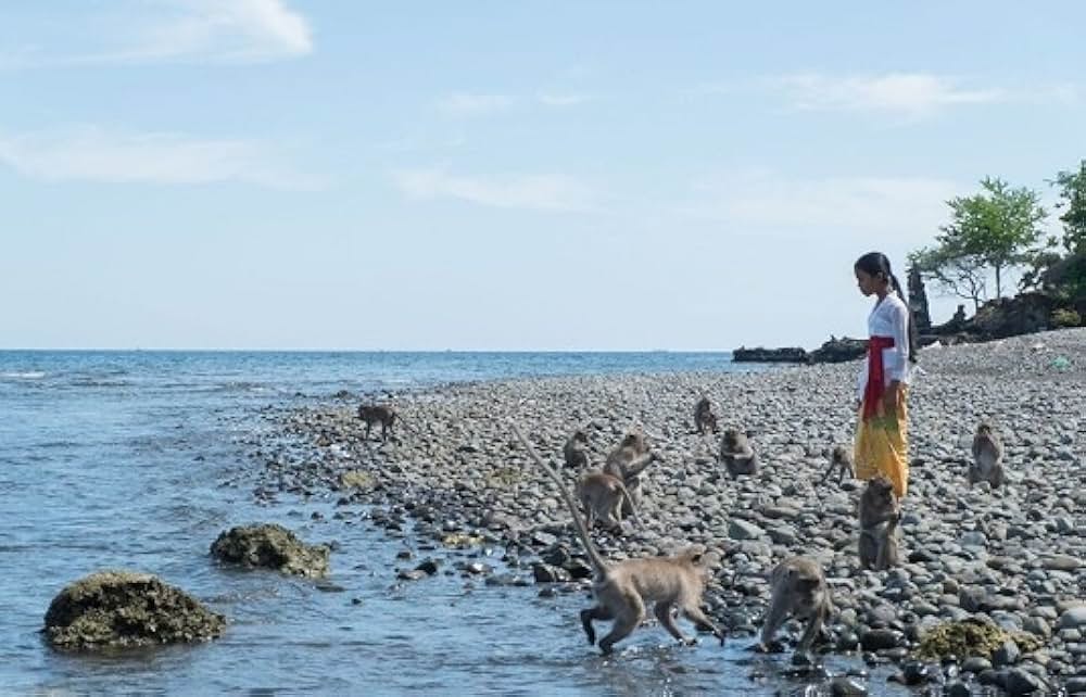 「見えるもの、見えざるもの」の画像