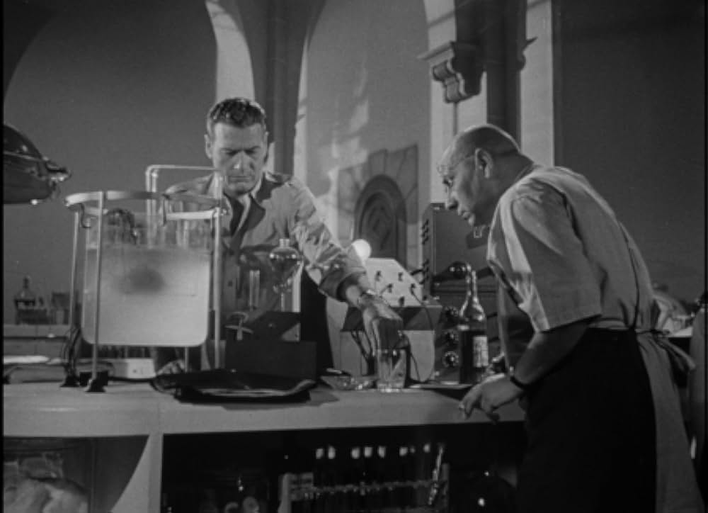 美女と怪物の画像