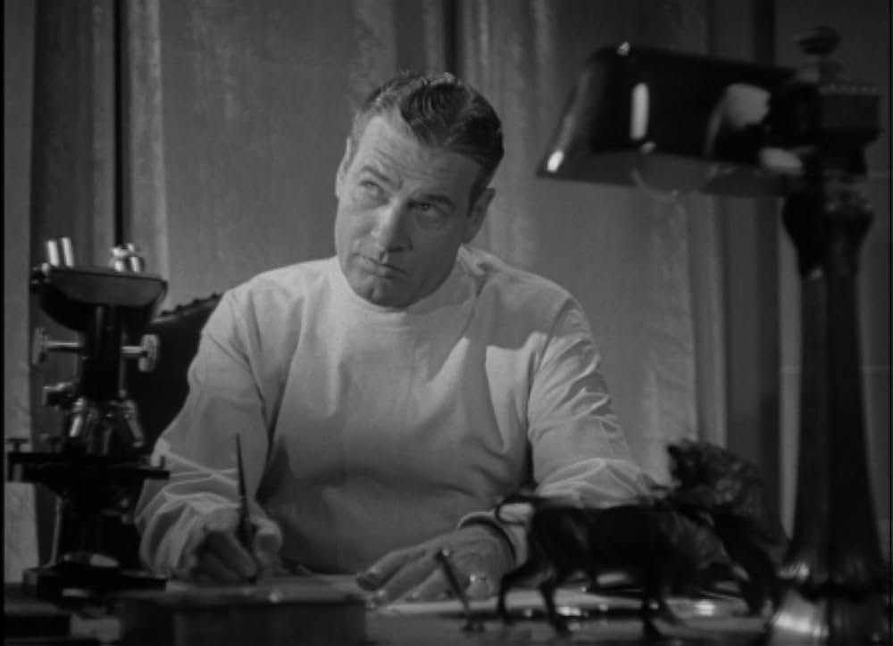 美女と怪物の画像