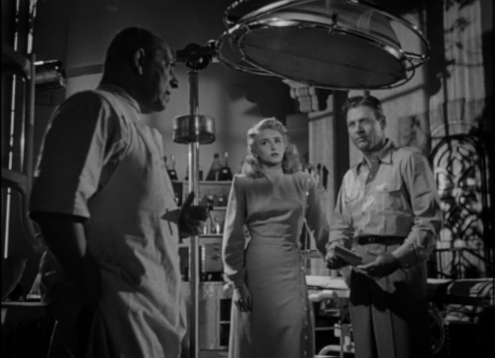 美女と怪物の画像