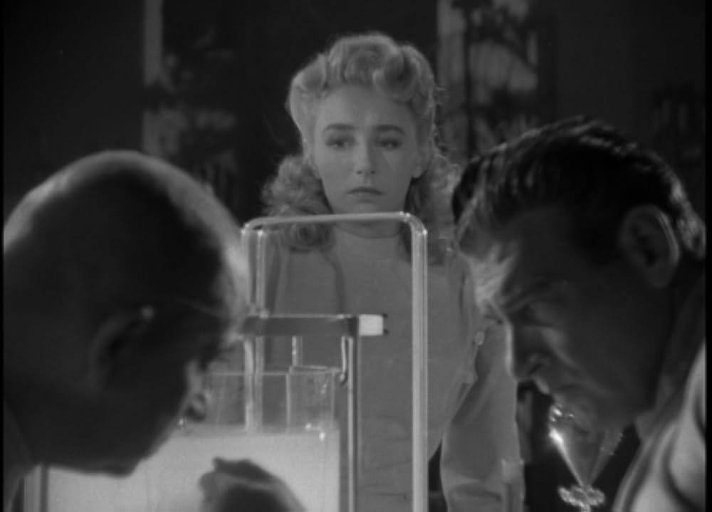 美女と怪物の画像