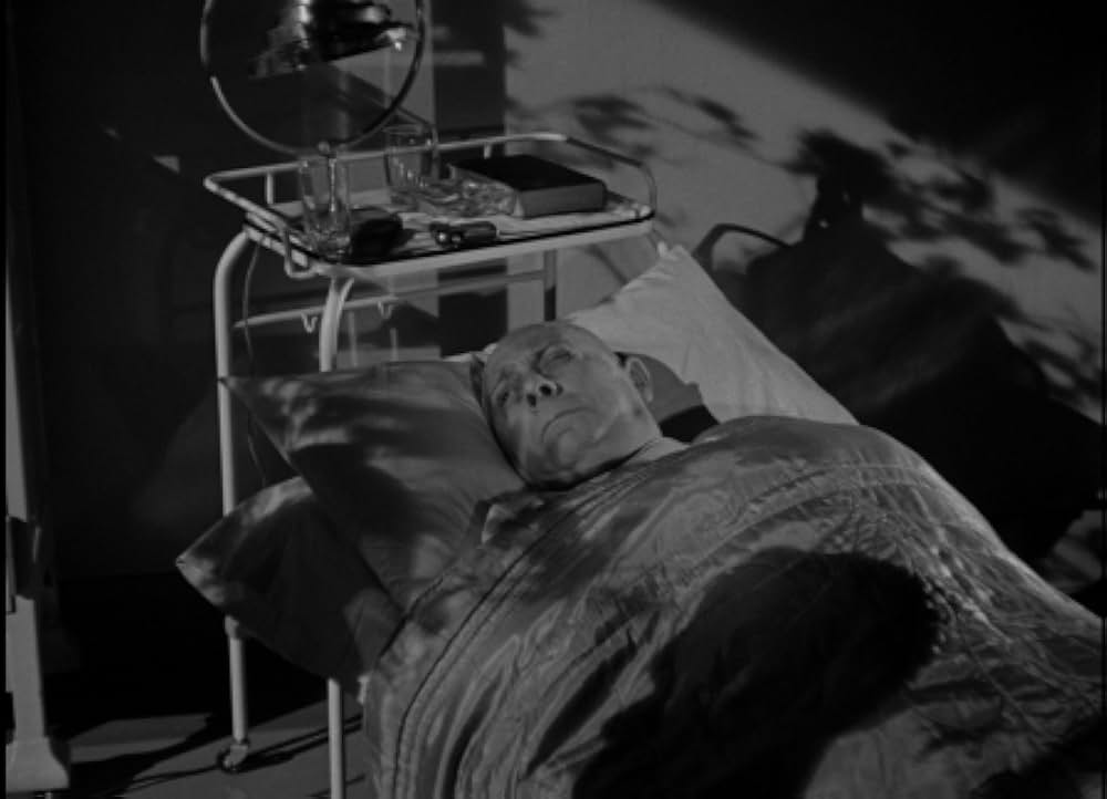 美女と怪物の画像