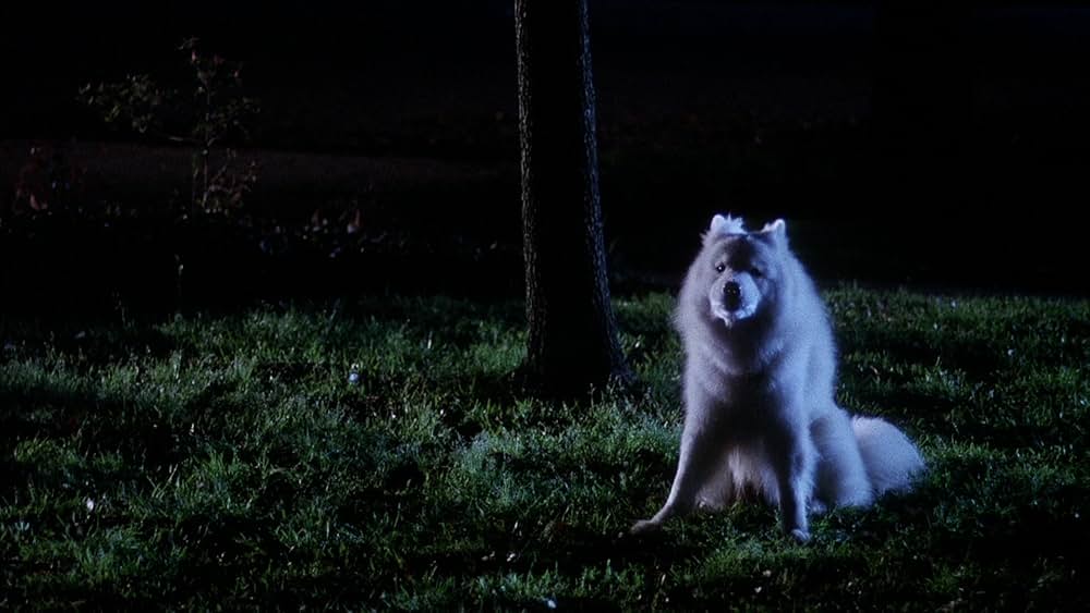 Student Bodies（原題）の画像