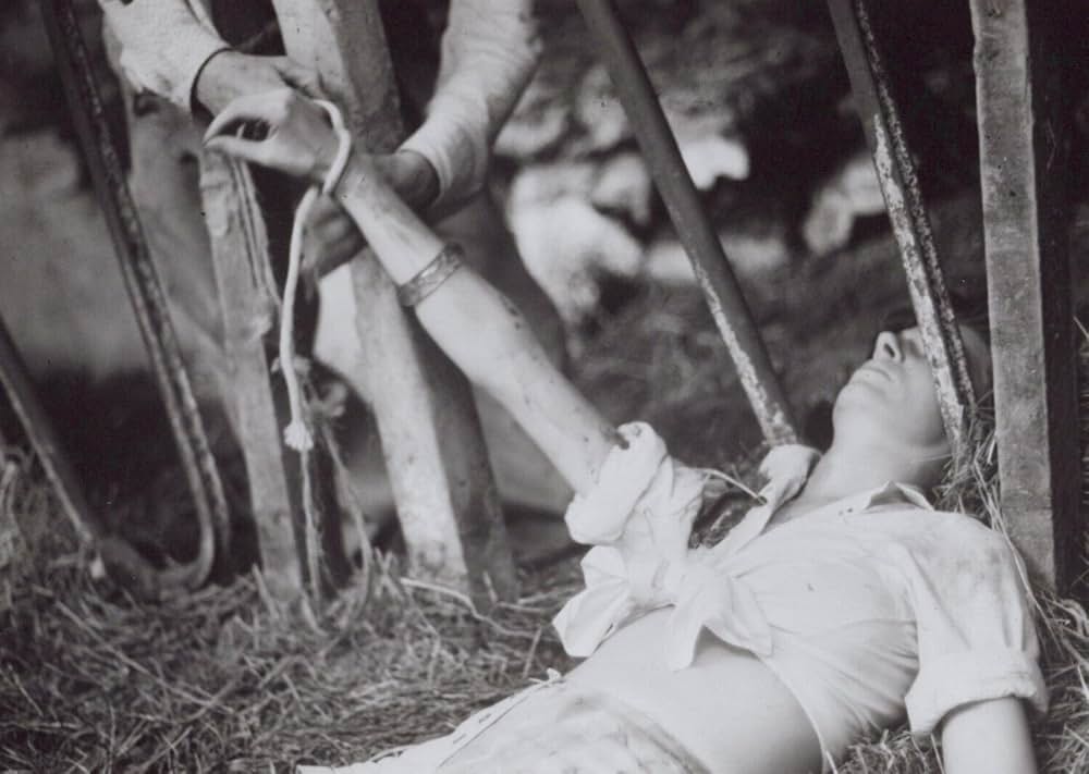 虐殺の週末の画像