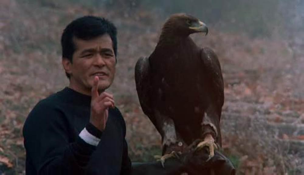 カラテNINJA／ジムカタの画像