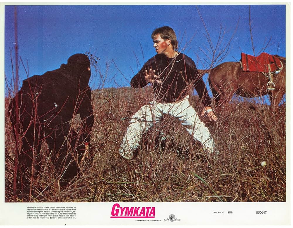 カラテNINJA／ジムカタの画像