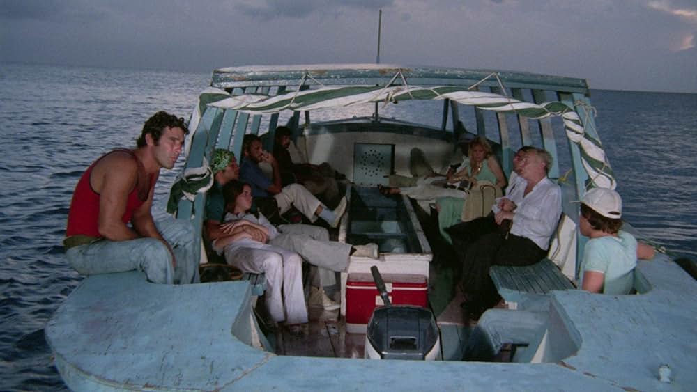 大竜巻／サメの海へ突っ込んだ旅客機の画像