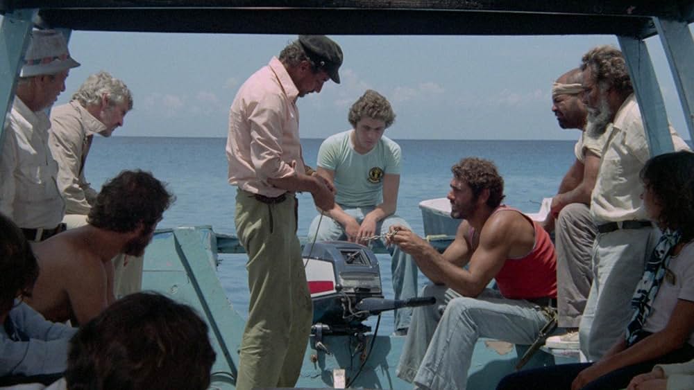 大竜巻／サメの海へ突っ込んだ旅客機の画像