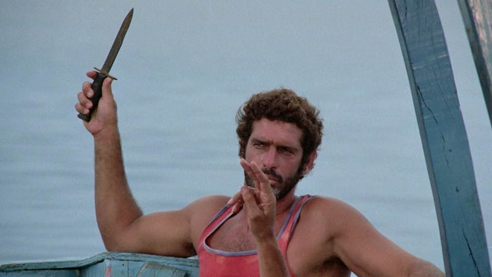 大竜巻／サメの海へ突っ込んだ旅客機の画像