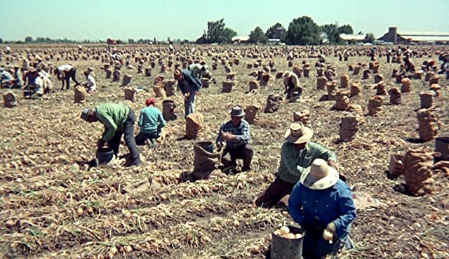 ゴングなき戦いの画像
