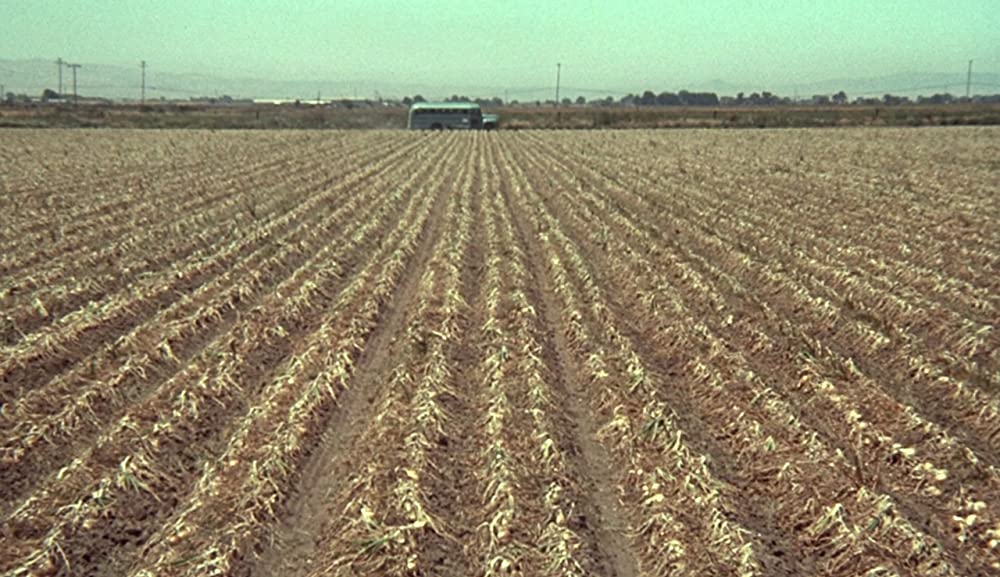 ゴングなき戦いの画像