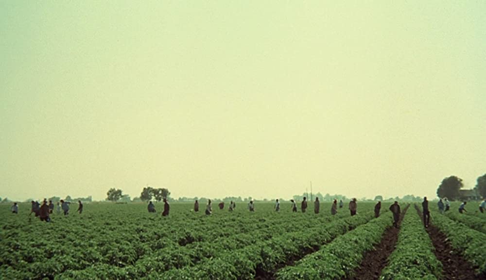 ゴングなき戦いの画像