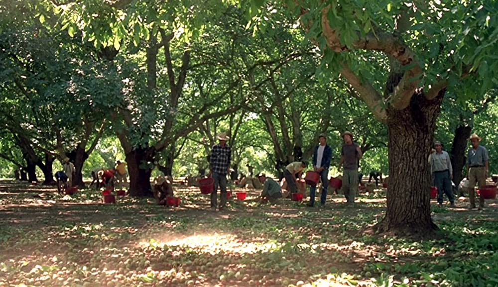 ゴングなき戦いの画像