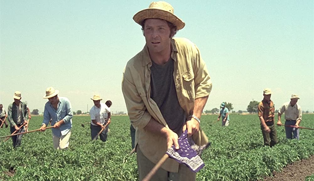 「ゴングなき戦い」ステイシー・キーチの画像