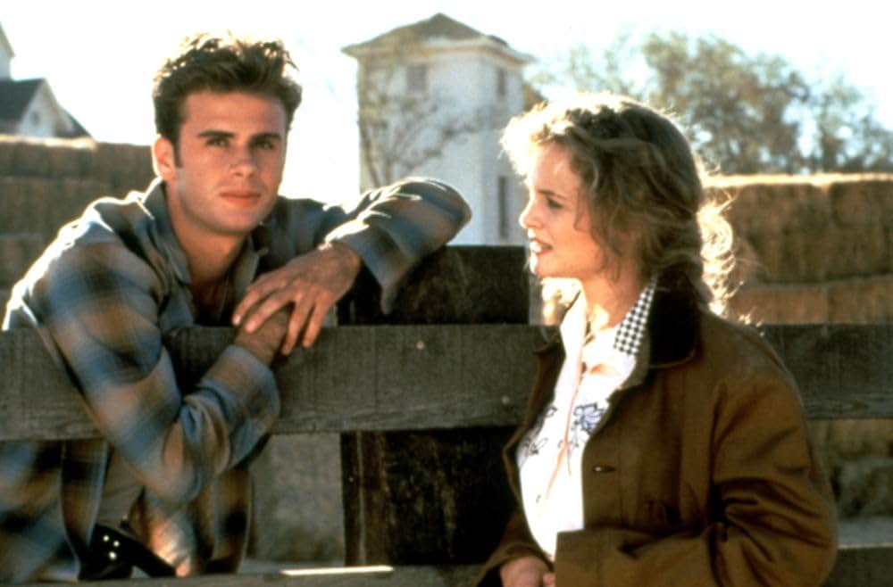 過ぎゆく夏の画像