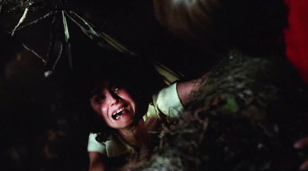 ザ・ピットの画像