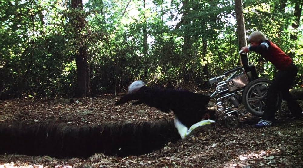 ザ・ピットの画像