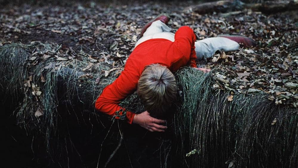 ザ・ピットの画像