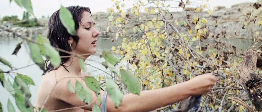 ザ・ピットの画像