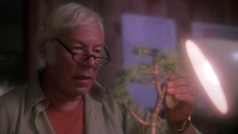 序曲・13日の金曜日の画像