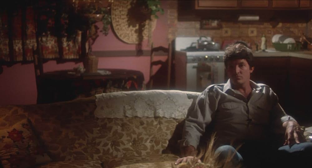 他人の眼の画像