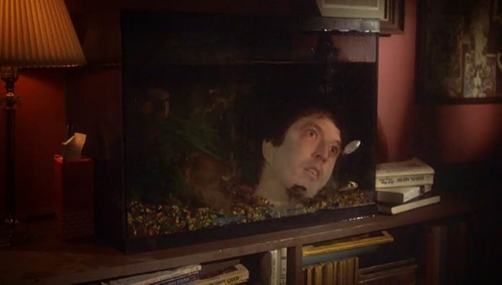 他人の眼の画像