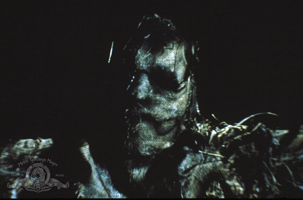 ヘル・ゴースト／悪魔のスケアクロウの画像