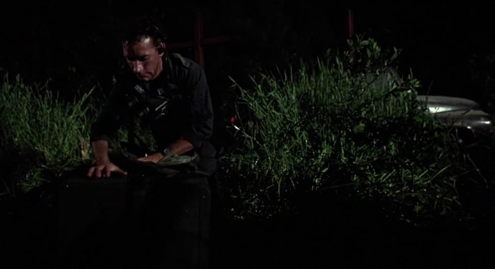 ヘル・ゴースト／悪魔のスケアクロウの画像