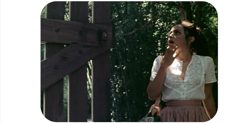 ナイト・オブ・ザ・リビング・マミーの画像