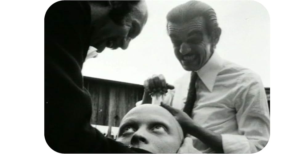 ナイト・オブ・ザ・リビング・マミーの画像