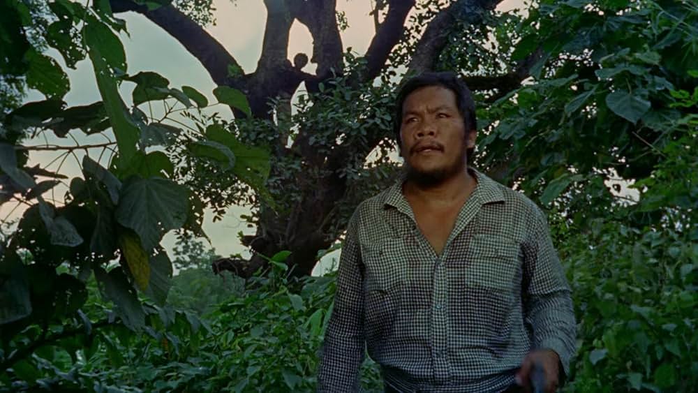 ドクター・ゴードンの島／半獣要塞ドクターゴードンの画像