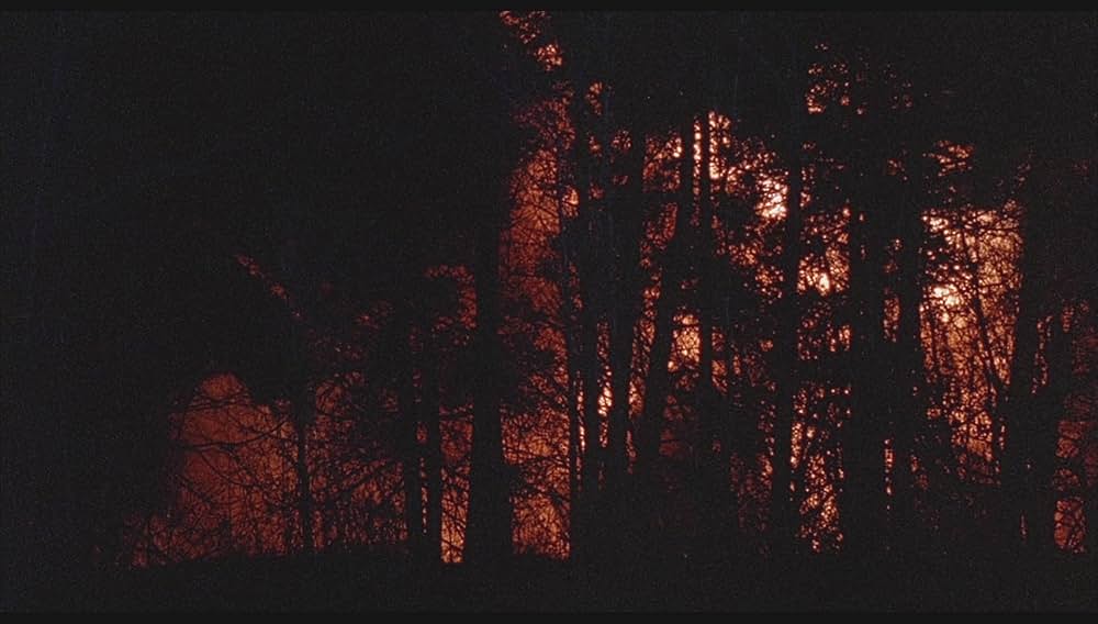 ニューヨーク・コマンドー／セントラルパーク市街戦の画像