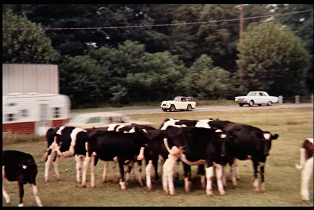 ふたり自身の画像