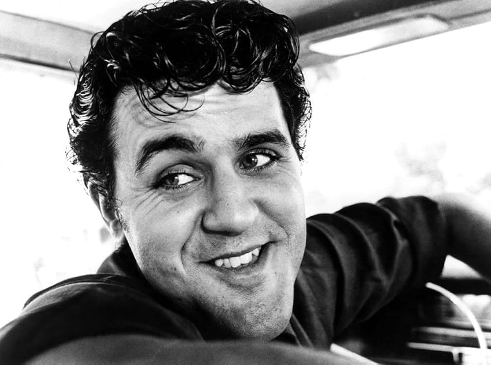 アメリカン・ホット・ワックス アラン・フリード物語の画像