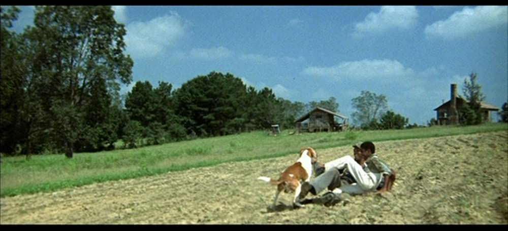 サウンダーの画像