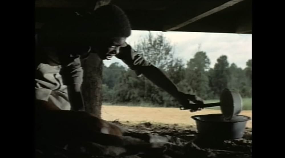 サウンダーの画像