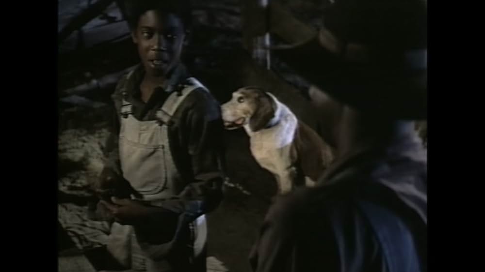 サウンダーの画像