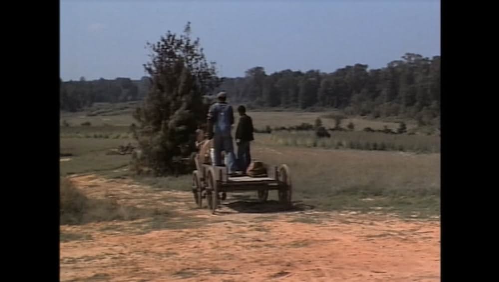 サウンダーの画像