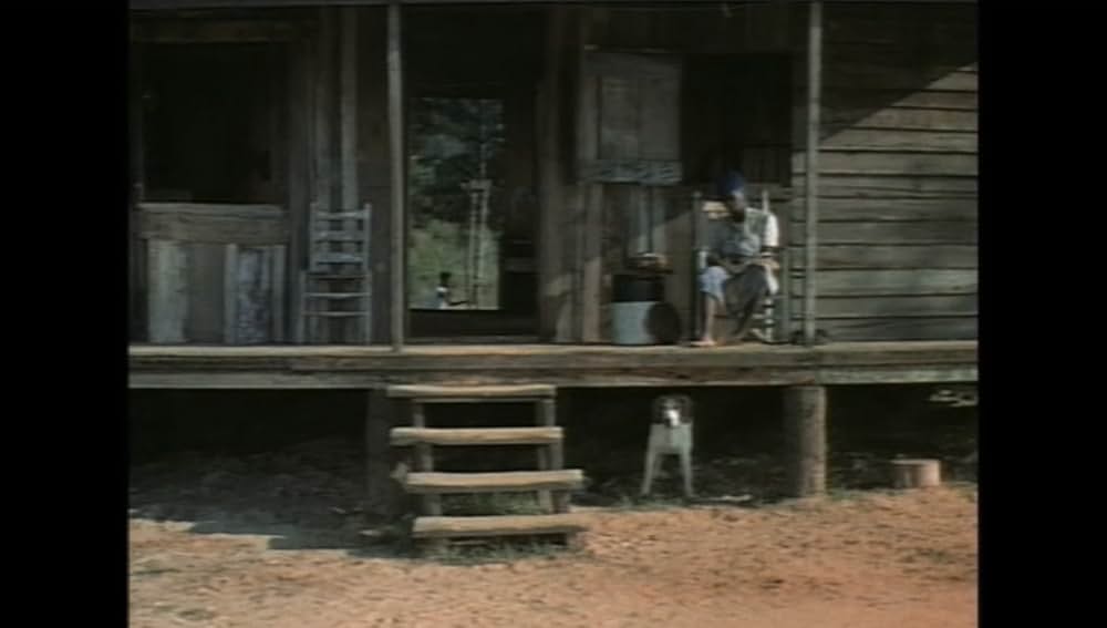 サウンダーの画像