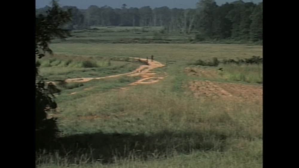 サウンダーの画像