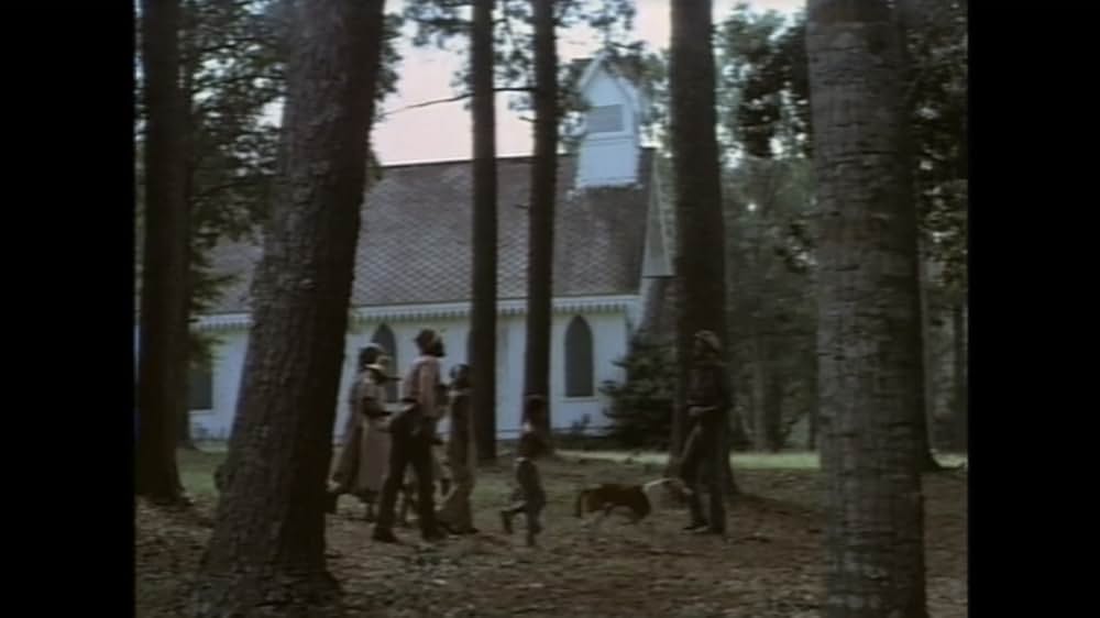 サウンダーの画像