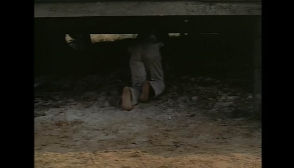 サウンダーの画像